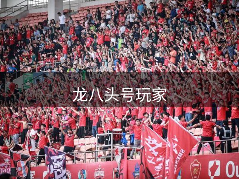 龙八头号玩家介绍