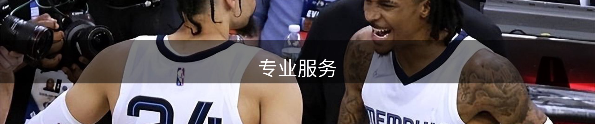 专业服务